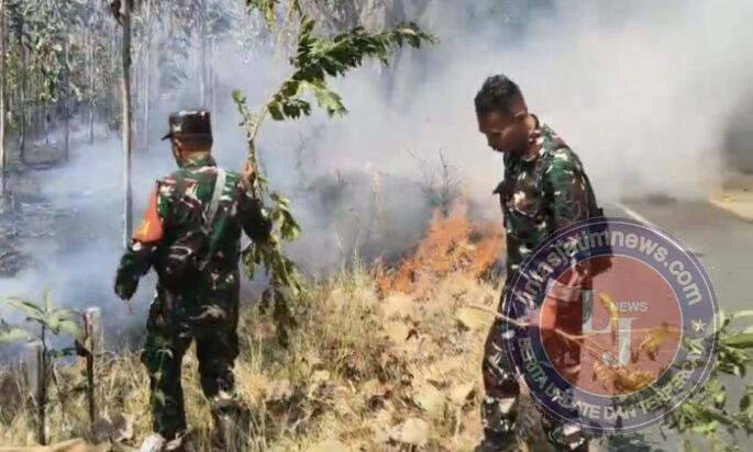 Gerak Cepat Warga dan Babinsa Padamkan Kebakaran Hutan di Dusun Panggung