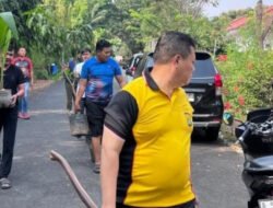 Semarak Hari Kemerdekaan Republik Indonesia ke-81, Polres Priok Tanam 25 Pohon Bersama Masyarakat