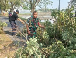 Jalan Pilang Widya Sempat Tertutup Pohon Tumbang, Babinsa dan Warga Bergerak Cepat
