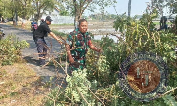 Jalan Pilang Widya Sempat Tertutup Pohon Tumbang, Babinsa dan Warga Bergerak Cepat