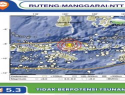 Gempa Bumi   erkekuatan Magnitudo 7,7 Guncang Wilayah Nusa Tenggara Timur