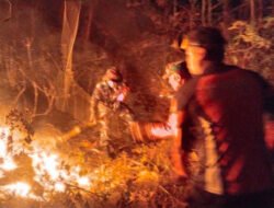 TNI-Polri dan BPBD Padamkan Kebakaran Hutan 3,5 Hektare di Trenggalek