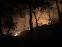 Kobaran Api Hanguskan Lahan di Gunung Gandul, Regu Pemadam Kodim 0728/Wonogiri Bergerak Cepat