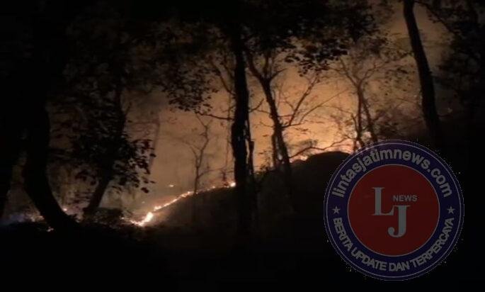 Kobaran Api Hanguskan Lahan di Gunung Gandul, Regu Pemadam Kodim 0728/Wonogiri Bergerak Cepat