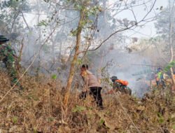 Petugas Gabungan Kembali Padamkan Kebakaran Hutan dan Lahan di Gunung Gajah