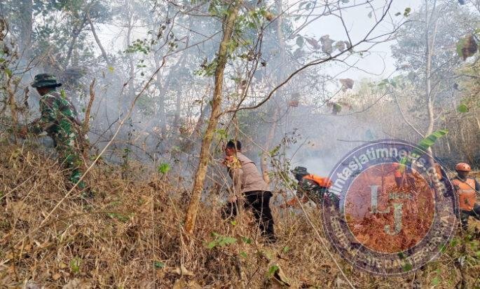 Petugas Gabungan Kembali Padamkan Kebakaran Hutan dan Lahan di Gunung Gajah