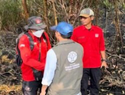 Tinjau Karhutla Kalsel, Menhut Raja Antoni : Api Sudah Tak Terlihat, tapi Gambut Masih Berasap