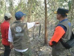Menhut Raja Antoni Turun ke Lokasi Karhutla Kalimantan Selatan, Operasi Pemadaman Diperkuat