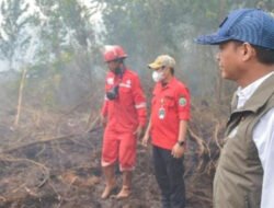 Tinjau Guntung Damar, Menhut Raja Antoni : Pelaku Karhutla Ditindak Tanpa Pandang Bulu