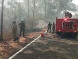 TNI dari Kodim 0801/Pacitan dan Warga Sigap Atasi Karhutlah di wilayah Pacitan