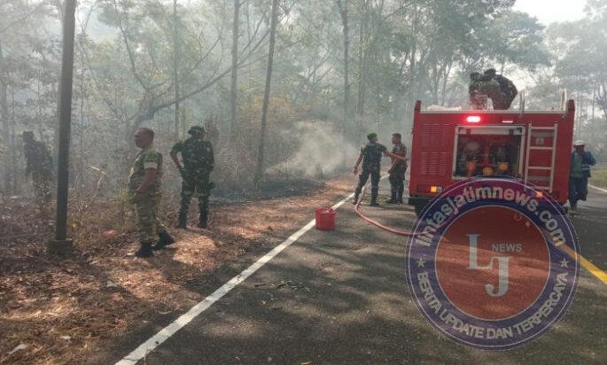 TNI dari Kodim 0801/Pacitan dan Warga Sigap Atasi Karhutlah di wilayah Pacitan