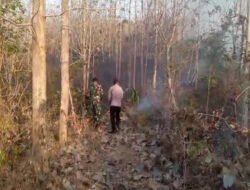Babinsa Koramil 10/Sine dan Warga Sigap Padamkan Kebakaran Lahan Jati di Ploso Kerep