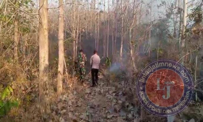 Babinsa Koramil 10/Sine dan Warga Sigap Padamkan Kebakaran Lahan Jati di Ploso Kerep