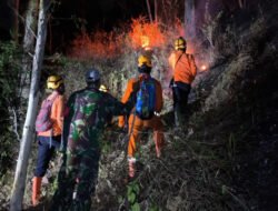 Hutan di Wilayah Desa Binaan Terbakar, Babinsa Bersama Unsur Terkait Tanggap Atasi