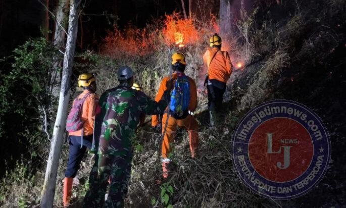 Hutan di Wilayah Desa Binaan Terbakar, Babinsa Bersama Unsur Terkait Tanggap Atasi