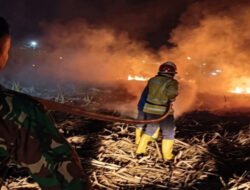 Babinsa dan Damkar Berjibaku Jinakkan Api di Lahan Tebu Bangunsari