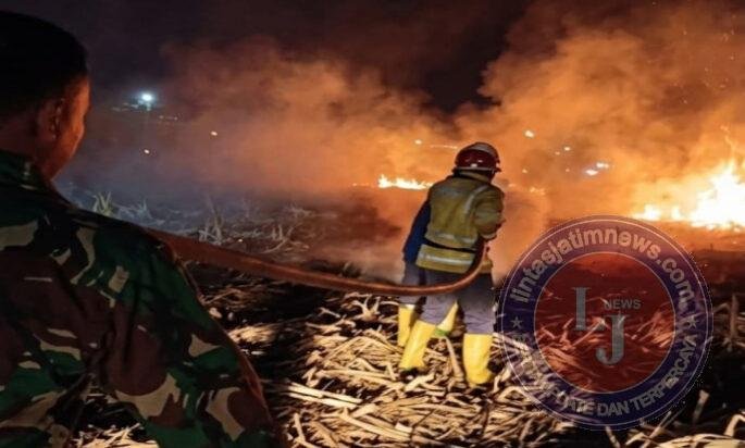 Babinsa dan Damkar Berjibaku Jinakkan Api di Lahan Tebu Bangunsari