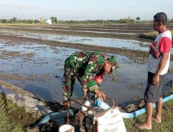 Dari Lahan yang Disiapkan, Harapan Panen Kembali Tumbuh di Dawuhan
