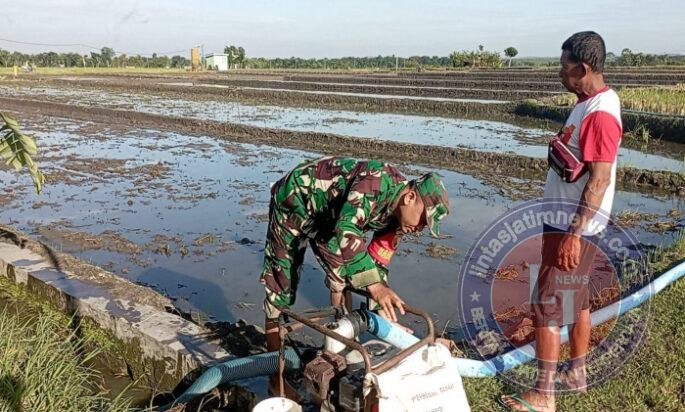 Dari Lahan yang Disiapkan, Harapan Panen Kembali Tumbuh di Dawuhan