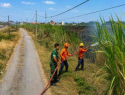 Kobaran Api Melahap Kebun Tebu, Babinsa dan Warga Winongi Sigap Cegah Karhutla Meluas