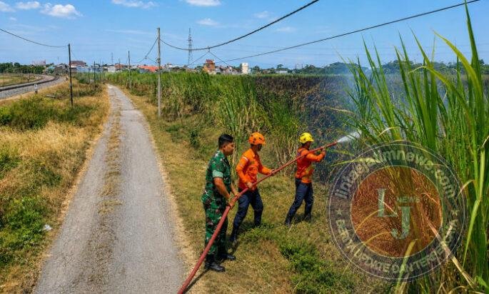 Kobaran Api Melahap Kebun Tebu, Babinsa dan Warga Winongi Sigap Cegah Karhutla Meluas