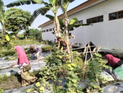 Babinsa Dampingi KWT Mekar Sari Bersihkan Lahan, Dorong Panen Sayuran Melimpah