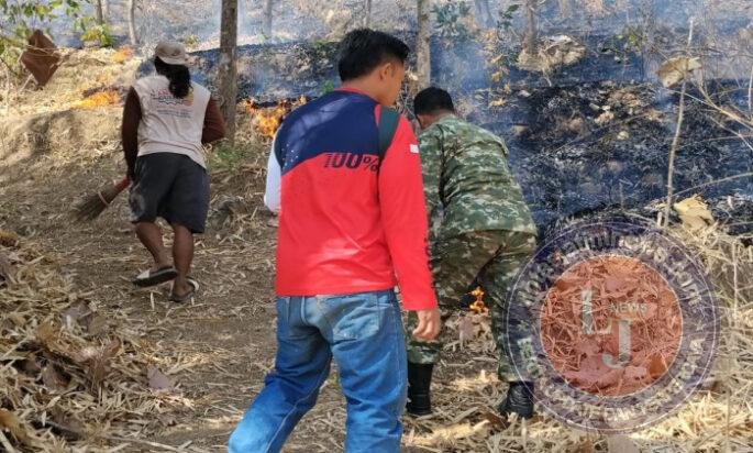 Babinsa Kodim Ponorogo dan Unsur Terkait Gerak Cepat Padamkan Kebakaran Hutan
