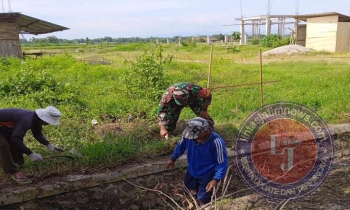 Irigasi Lancar, Harapan Panen Tetap Terjaga: Babinsa dan Petani Bersihkan Saluran Air di Ketawang
