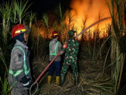 Api Melahap 3,5 Hektare Lahan Tebu, Babinsa dan Damkar Berjibaku Cegah Kobaran Meluas
