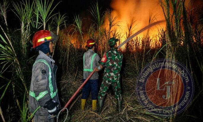Api Melahap 3,5 Hektare Lahan Tebu, Babinsa dan Damkar Berjibaku Cegah Kobaran Meluas
