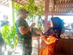 Babinsa Blumbang Hadirkan Cara Unik Rayakan HUT Warga, Sedekah Pohon untuk Lingkungan dan Kebersamaan
