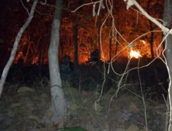 Kesiapsiagaan Babinsa Koramil 0801/12 Pringkuku Padamkan Kebakaran Hutan dan Lahan Milik Warga