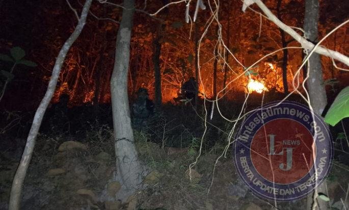 Kesiapsiagaan Babinsa Koramil 0801/12 Pringkuku Padamkan Kebakaran Hutan dan Lahan Milik Warga