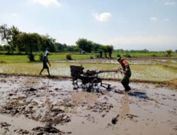 Turun ke Sawah, Babinsa Kedondong Dampingi Petani Siapkan Lahan Tanam