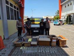 Satresnarkoba Polres Gresik Sita Ratusan Botol Arak Bali, Dua Orang Diamankan