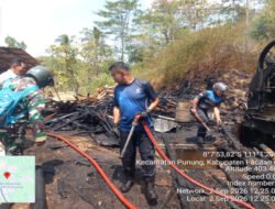 Tempat Usaha Kayu Terbakar di Punung, Anggota Koramil Bantu Padamkan dan Evakuasi