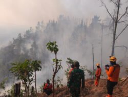 Hutan di Wilayah Binaan Terbakar, Babinsa Kodim Ponorogo dan Unsur Terkait Lakukan Pemadaman