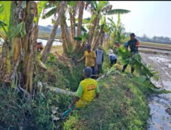 Lancarkan Irigasi Pertanian, Babinsa Ponorogo Kerja Bakti Bersama Warga