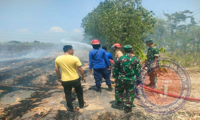 Babinsa Paron Gerak Cepat Tangani Kebakaran Lahan Tebu Milik PG Redjo Agung