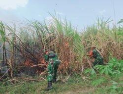 Anggota Koramil Dagangan Sigap Hadang Kobaran Api di Lahan Tebu