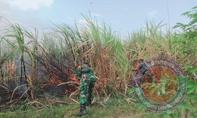 Anggota Koramil Dagangan Sigap Hadang Kobaran Api di Lahan Tebu