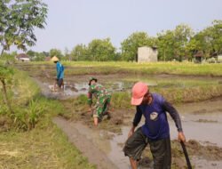 Turun ke Sawah, Babinsa Balerejo Dampingi Petani Siapkan Lahan