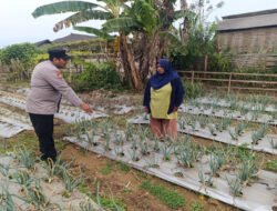 Bhabinkamtibmas Nongkojajar Pantau Tanaman Bawang Merah, Dukung Ketahanan Pangan Nasional