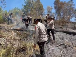 Polres Bondowoso dan Tim Gabungan Tembus Medan Ekstrem, Karhutla di Lereng Ijen Berhasil Dipadamkan