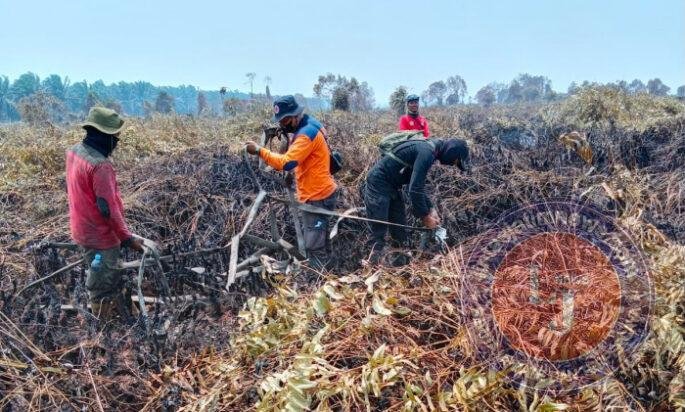Pantau Karhutla, Satbrimob Polda Jambi Bersama Instansi Terkait Patroli Kawasan Konservasi Gajah di Tebo