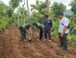 Peringati HUT ke 81 TNI, Kodim Ponorogo Tanam 1050 Bibit Pohon Secara Serentak