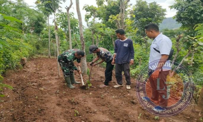 Peringati HUT ke 81 TNI, Kodim Ponorogo Tanam 1050 Bibit Pohon Secara Serentak