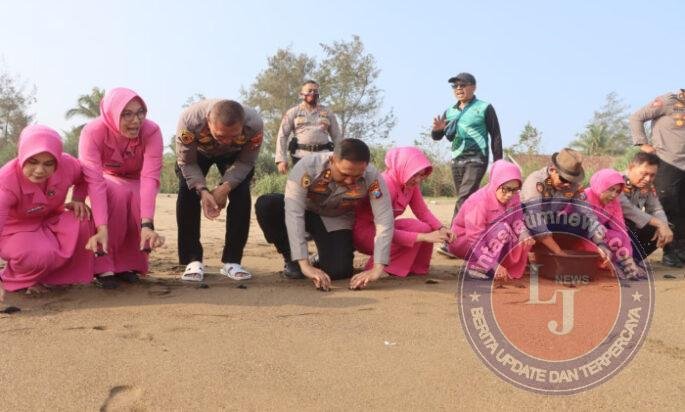 Polres Trenggalek Tanam Mangrove dan Lepas Liarkan Ratusan Tukik