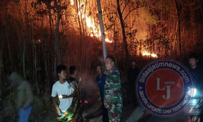 Cekatan, Babinsa Kodim Ponorogo Gerak Cepat Ikut Atasi Kebakaran Hutan