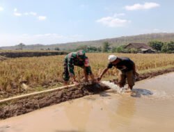 Jaga Aliran Air ke Sawah, Babinsa Durenan Dampingi Pengairan Lahan Warga
